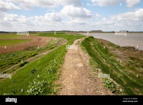 Flood Defence Embankment Wall River Alde Hi Res Stock Photography And