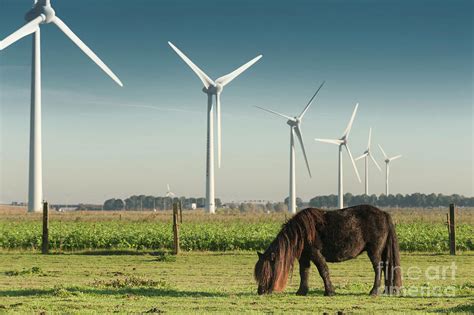 Windmill Farm Photograph by Arno Massee/science Photo Library - Fine ...