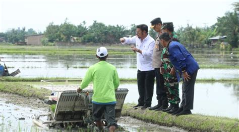 Mentan Syl Dorong Provinsi Sumut Jadi Lumbung Pangan Nasional Tani Modern