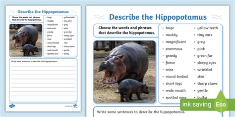 New Describe The Hippopotamus Writing Worksheet