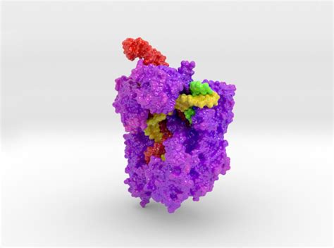 Crispr Cas9 Animation