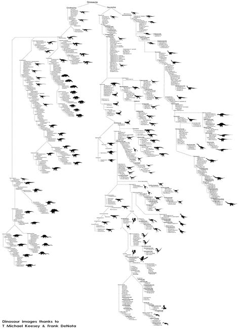 Dinosaur Family Tree : r/dataisbeautiful