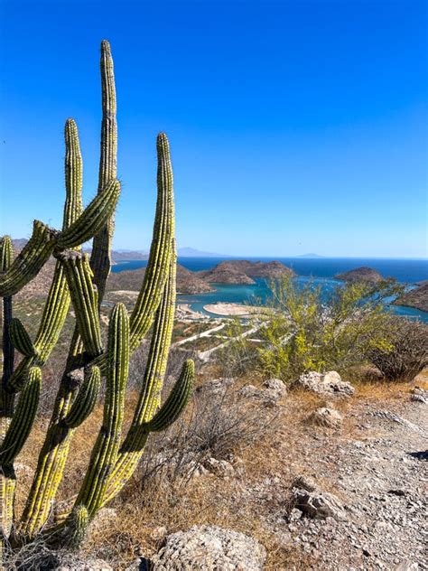 21 Things to Do in Loreto, Mexico (by Land & Sea) – TravelMamas.com