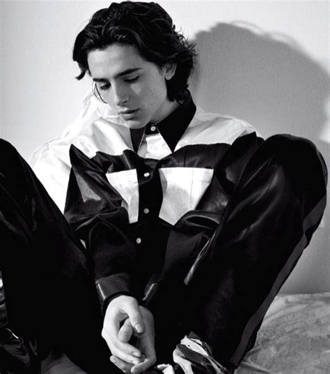 Free Photo :Timothee Chalamet