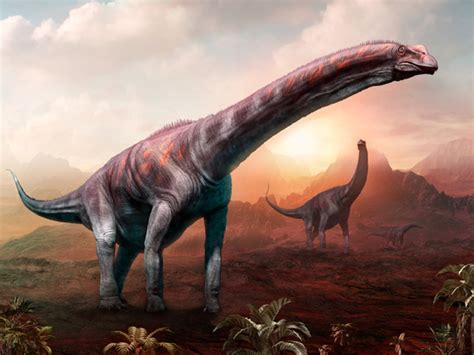 Descubren en Neuquén una nueva especie de dinosaurio Diario El Sol