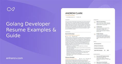 Golang Developer Resume Examples Guide For