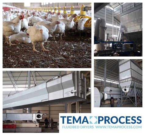 Poultry manure drying by TEMA Process | Tema Process