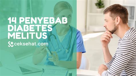 14 PENYEBAB DIABETES MELITUS