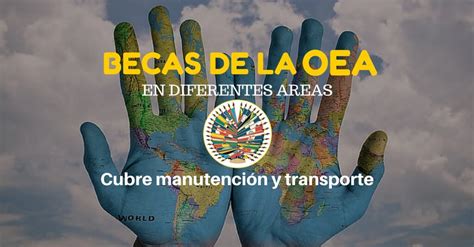 Programa De Becas De La Oea Incluye Matrícula Alimentación