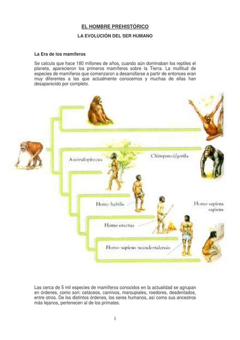 Mapa Mental De La Evolucion Del Hombre Tienes Que Saber Esto Images