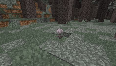 Pale Garden And Creaking Minecraft Mods Curseforge