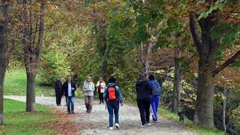 Giardinieri Raddoppiati E Un Nuovo Direttore Il Parco Della Burcina