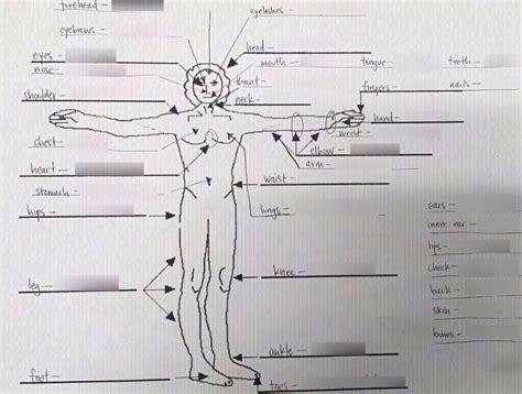 Spanish Body Parts Diagram | Quizlet