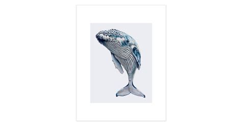 WHALE, WHALE, WHALE... | Fine Art Print | PaddlesworthDraws Artist Shop