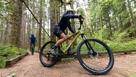 mountain bikes ride steady  matter  terrain