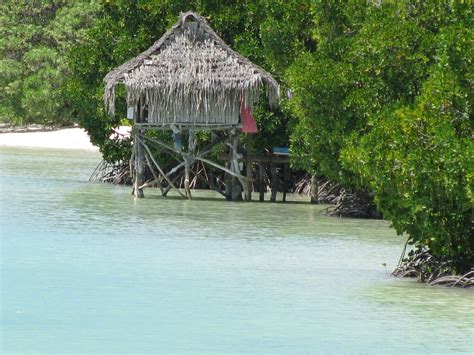 Climate Change Mitigation | IUCN