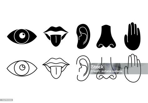 Five Human Senses Icons Set Isolated On White Background Stock Illustration Download Image Now