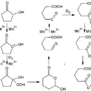 Pdf Oxidation Of Cyclic Ketones To Dicarboxylic Acids