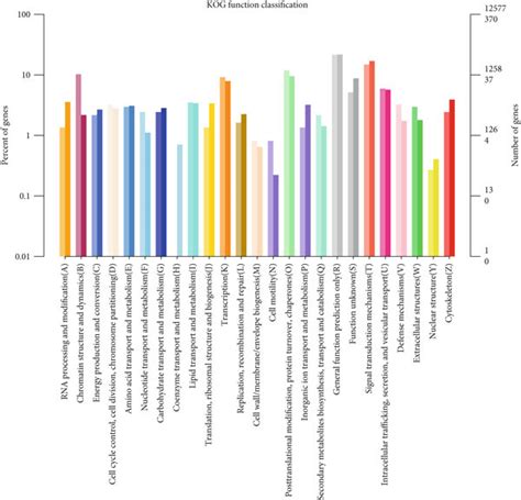 Functional Classification Of EuKaryotic Ortholog Groups KOG Database