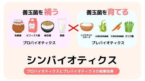 内側から美しく！一石三鳥の健康法「腸活」で輝く生活を手に入れよう！ ニュー速まとめコアラチャンネル