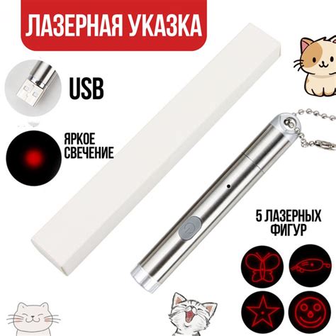 Лазерная указка для кошек и собак с USB зарядкой - купить с доставкой ...