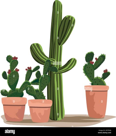 Cactus Plants Stock Vector Images Alamy