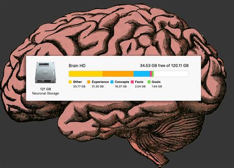 My Digital Brain: Exploring the Relationship Between Mind and Machine