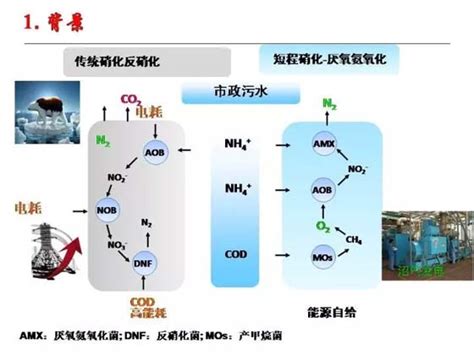 污水处理技术之城市污水厌氧氨氧化脱氮研究 全球新能源网