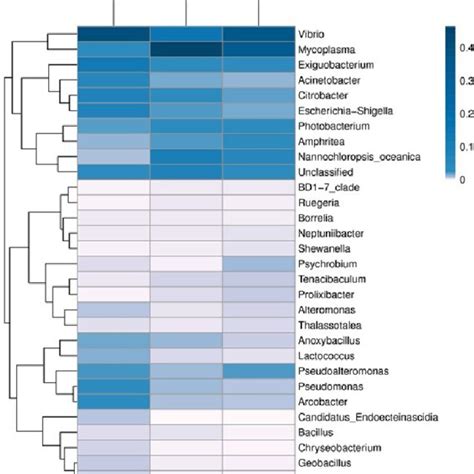 Relative Abundance Of Microbial Phyla A And Relative Abundance Of