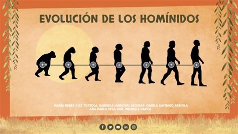 EVOLUCIÓN DE LOS HOMÍNIDOS