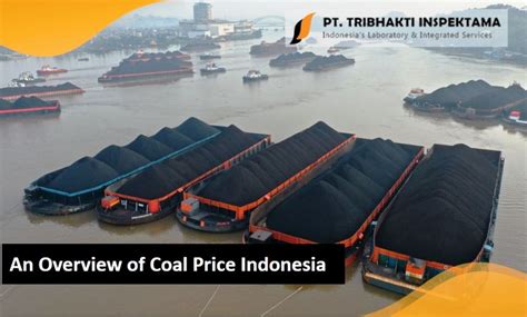 An Overview of Coal Price Indonesia - PT. Tribhakti Inspektama