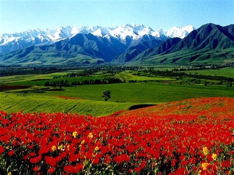 Fergana Valley