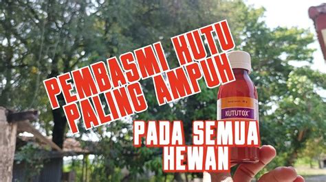 Kututox Pembasmi Kutu Pada Hewan Simak Video Sampe Selesai Biar Tau