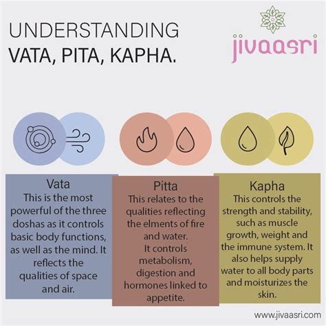 Understanding of Vata, Pitta and Kapha | Pitta, Ayurveda life, Vata dosha