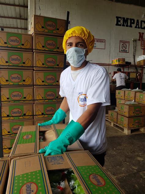 China Imports 25 More Ecuadorian Bananas Eurofresh Distribution