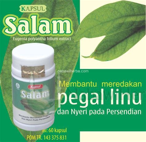 Daun Salam 60Kpsl - NABAWI HERBA | Distributor Herbal | Grosir Herbal Murah | Peluang Usaha Agen ...