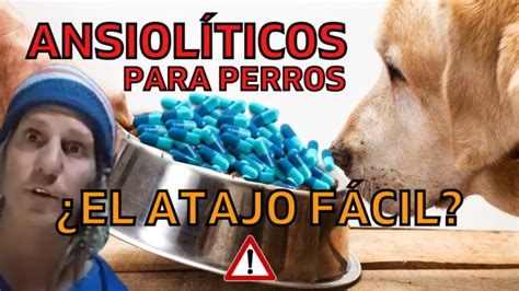 Calma a tu amigo peludo Ansiolítico para perros Actualizado enero 2025