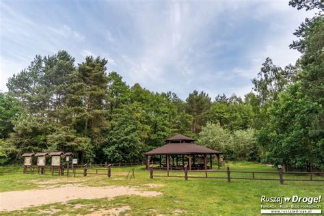 Jak Zwiedza Poleski Park Narodowy Ruszaj W Drog