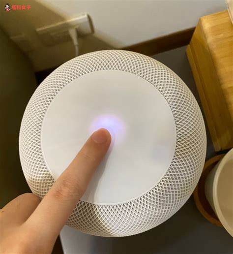 Homepod Mini 重置教學，教你 3 招重新啟動 Homepod 塔科女子