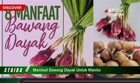 Temukan Manfaat Bawang Dayak Untuk Wanita Yang Jarang Diketahui