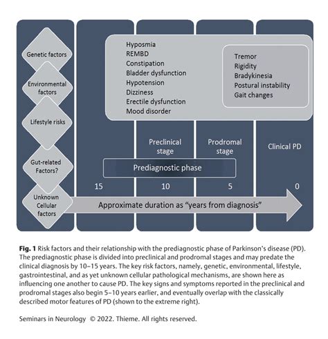 Preclinical And Prodromal Stages Of Parkinson Disease And Their Download Scientific Diagram