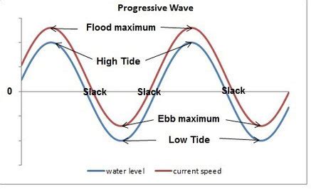 Ocean Currents Marine Science Australia