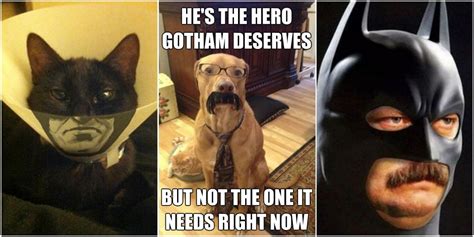 Batman 10 Hilarious The Hero We Deserve” Memes