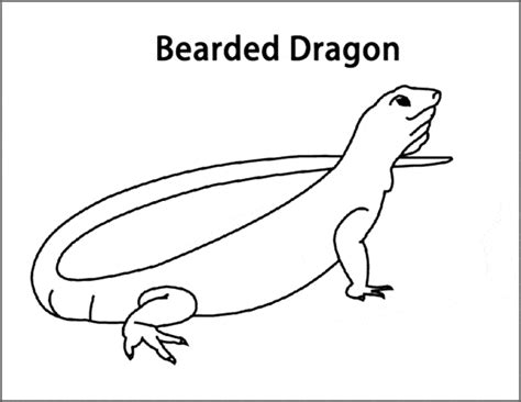 Bearded Dragon coloring page - Animals Town - animals color sheet ...