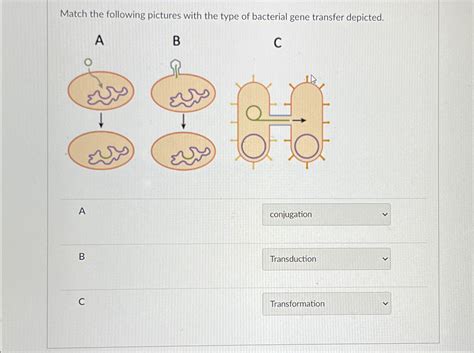 Solved Match the following pictures with the type of | Chegg.com 
