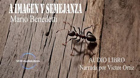 A IMAGEN Y SEMEJANZA MARIO BENEDETTI AUDIO LIBRO YouTube