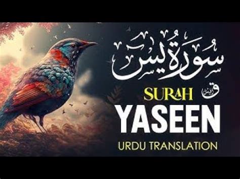 Yaseen Surah Yasin Full With Arabic Text Surahyaseen Yaseen Quran