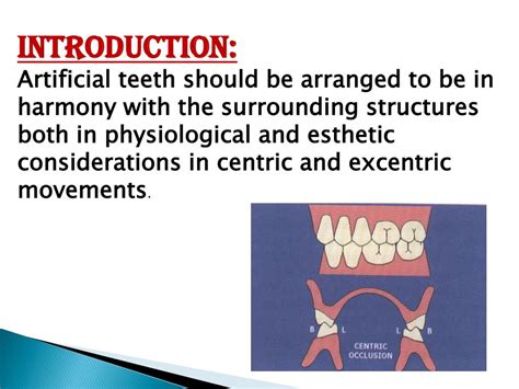 Ppt Arrangement Of Teeth Powerpoint Presentation Free Download Id