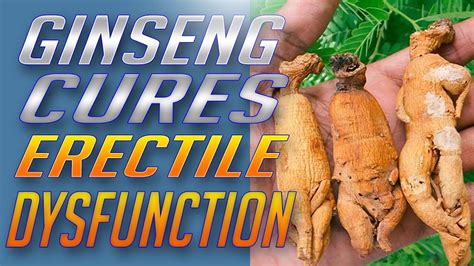 Ginseng Cures Erectile Dysfunction How To Cure Erectile Dysfunction