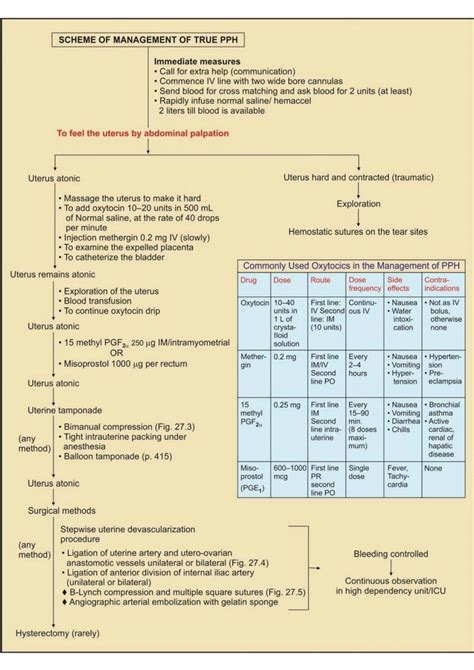 Solution Obstetric Schemes Of Management Of True Pph Summary Studypool